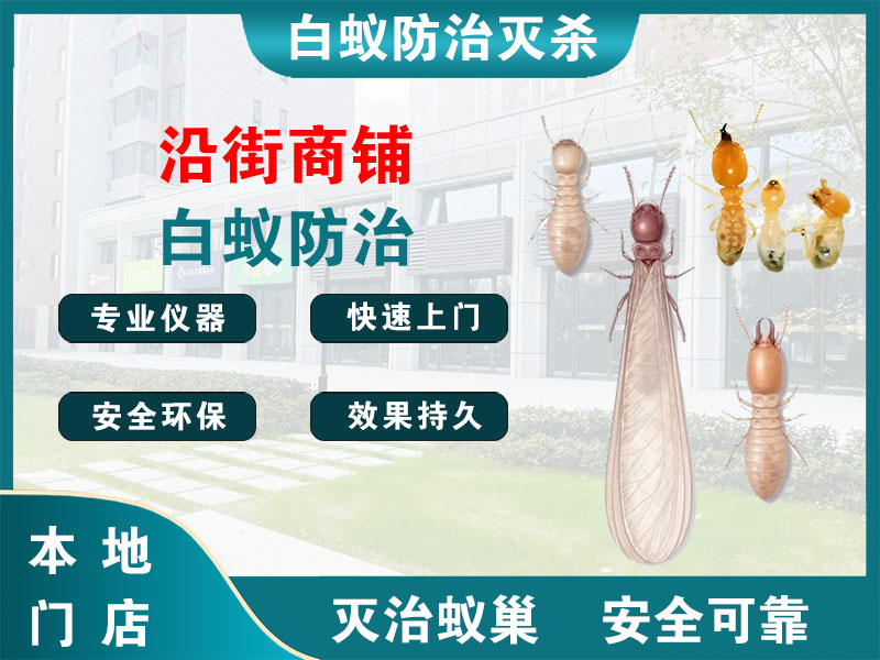 拱墅沿街商铺白蚁防治