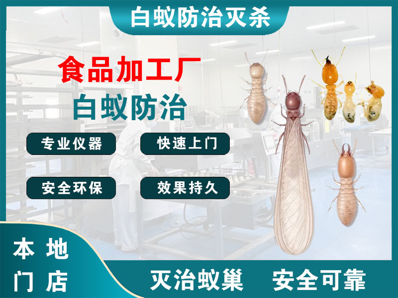 拱墅食品加工厂白蚁防治