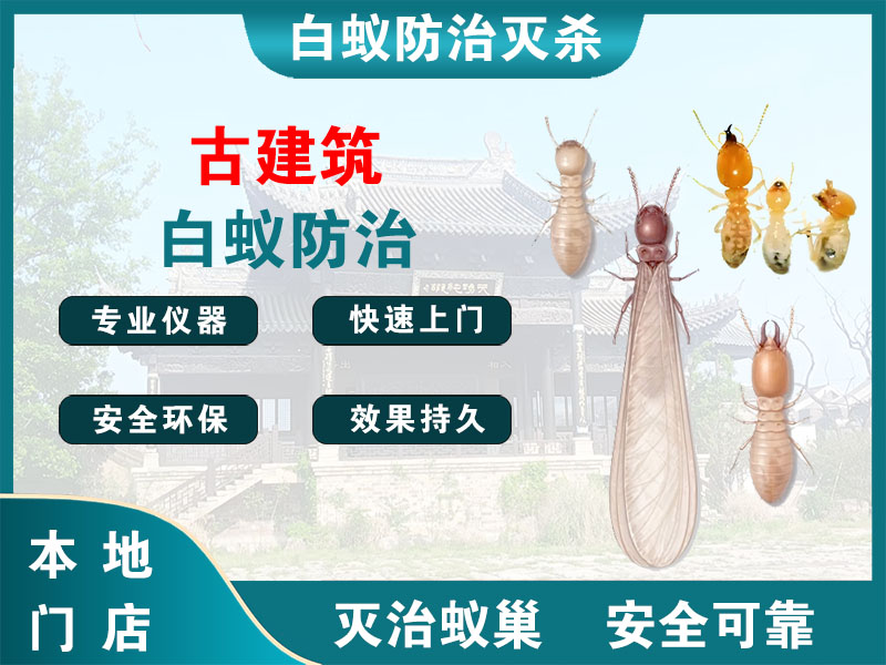 拱墅古建筑白蚁防治