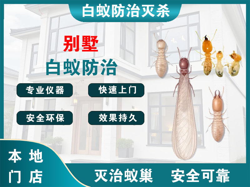 拱墅别墅白蚁防治